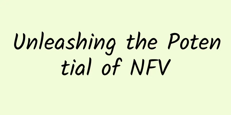 Unleashing the Potential of NFV