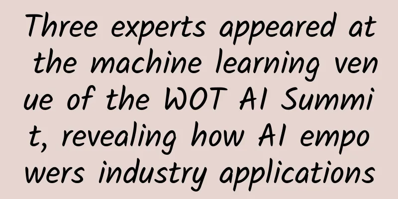 Three experts appeared at the machine learning venue of the WOT AI Summit, revealing how AI empowers industry applications