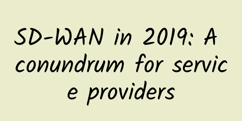 SD-WAN in 2019: A conundrum for service providers