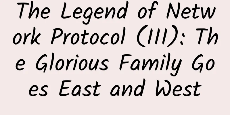 The Legend of Network Protocol (III): The Glorious Family Goes East and West