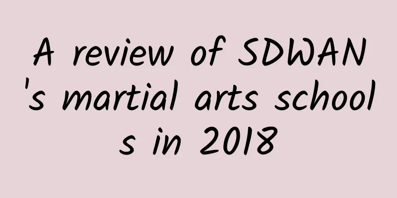 A review of SDWAN's martial arts schools in 2018