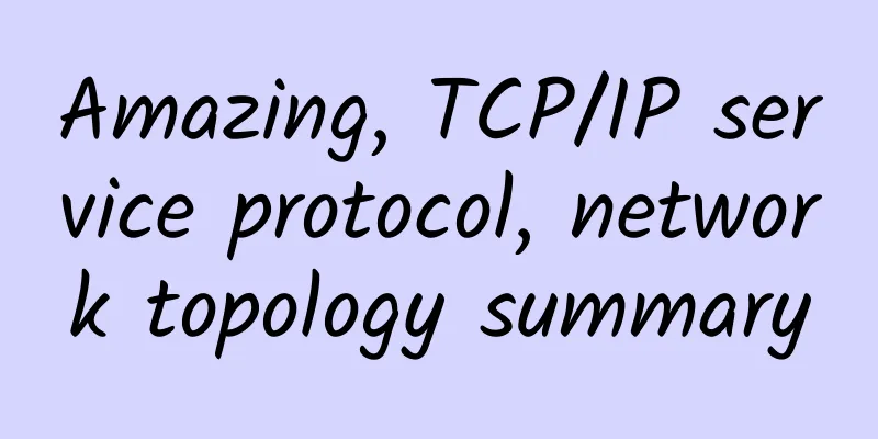 Amazing, TCP/IP service protocol, network topology summary