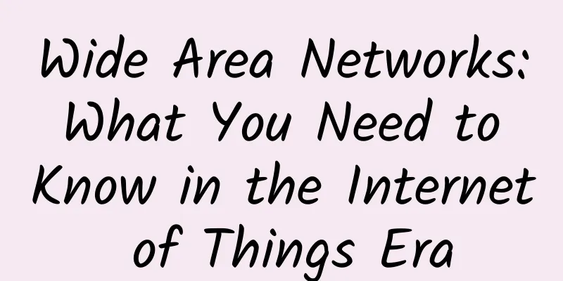 Wide Area Networks: What You Need to Know in the Internet of Things Era