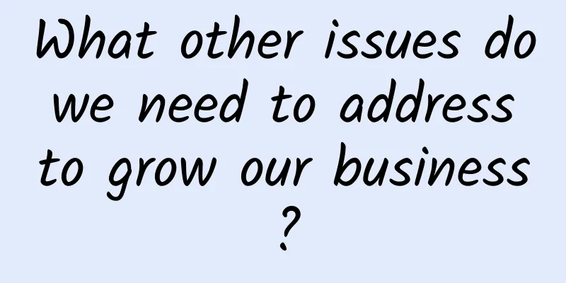 What other issues do we need to address to grow our business?