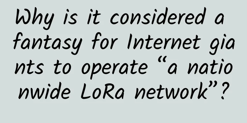Why is it considered a fantasy for Internet giants to operate “a nationwide LoRa network”?