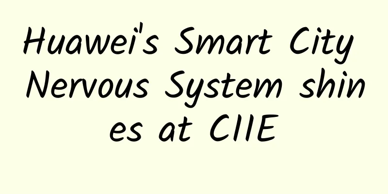 Huawei's Smart City Nervous System shines at CIIE