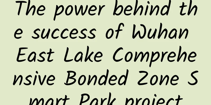 The power behind the success of Wuhan East Lake Comprehensive Bonded Zone Smart Park project