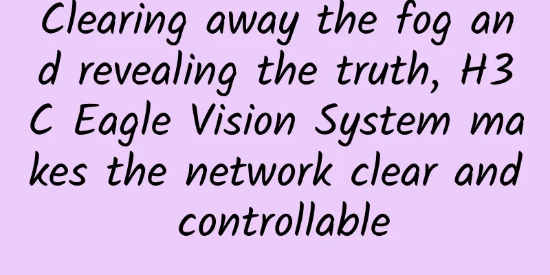 Clearing away the fog and revealing the truth, H3C Eagle Vision System makes the network clear and controllable