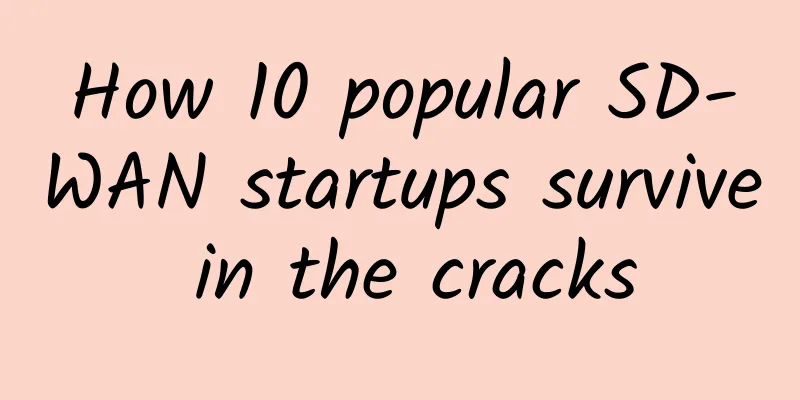 How 10 popular SD-WAN startups survive in the cracks