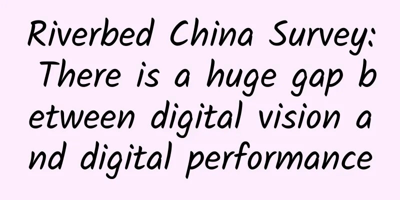 Riverbed China Survey: There is a huge gap between digital vision and digital performance