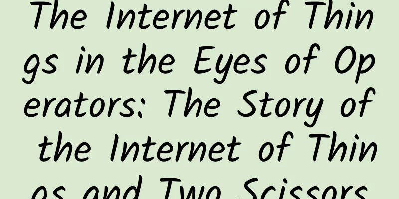 The Internet of Things in the Eyes of Operators: The Story of the Internet of Things and Two Scissors