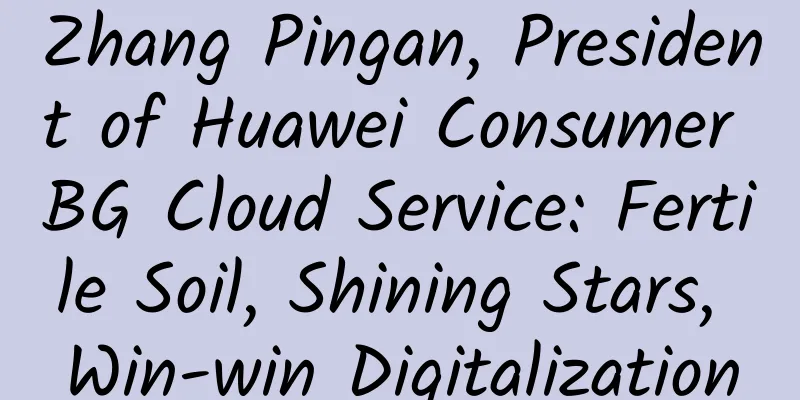 Zhang Pingan, President of Huawei Consumer BG Cloud Service: Fertile Soil, Shining Stars, Win-win Digitalization