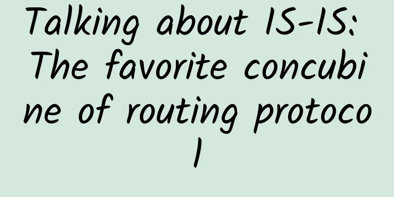 Talking about IS-IS: The favorite concubine of routing protocol