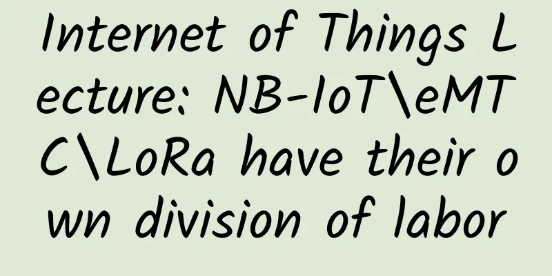 Internet of Things Lecture: NB-IoT\eMTC\LoRa have their own division of labor