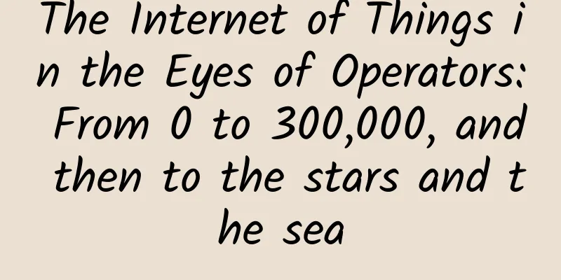 The Internet of Things in the Eyes of Operators: From 0 to 300,000, and then to the stars and the sea