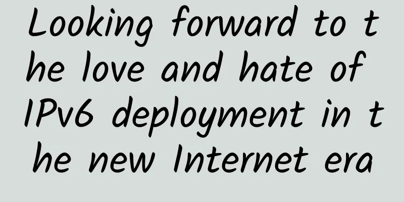 Looking forward to the love and hate of IPv6 deployment in the new Internet era