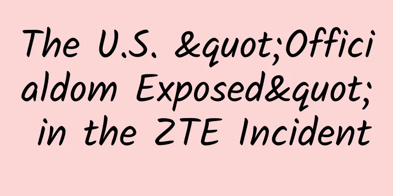 The U.S. "Officialdom Exposed" in the ZTE Incident