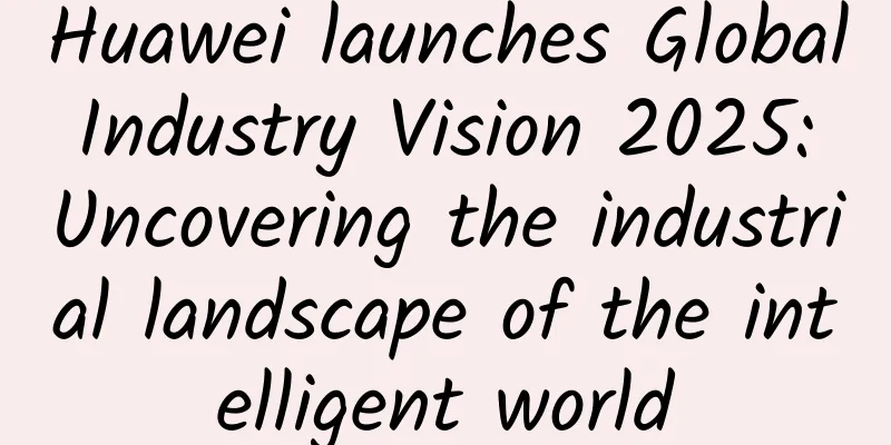Huawei launches Global Industry Vision 2025: Uncovering the industrial landscape of the intelligent world