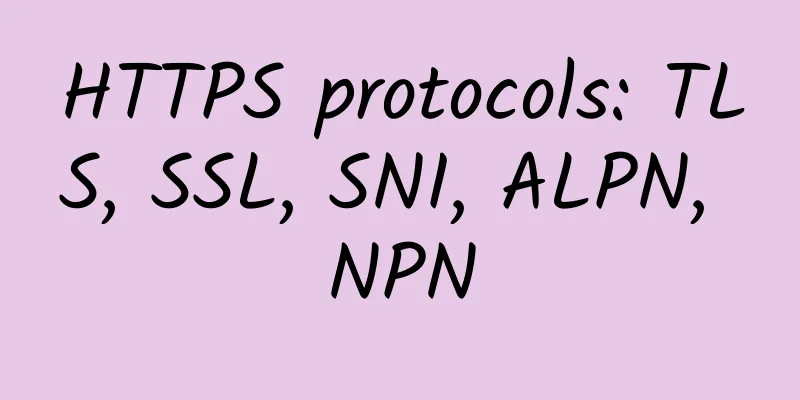 HTTPS protocols: TLS, SSL, SNI, ALPN, NPN