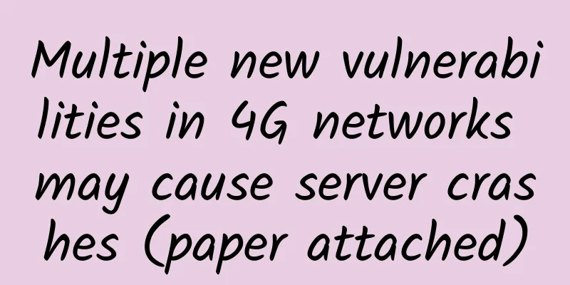 Multiple new vulnerabilities in 4G networks may cause server crashes (paper attached)