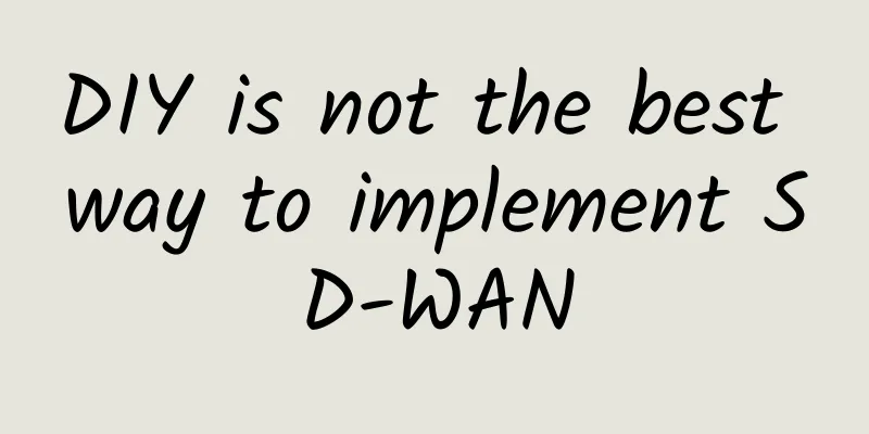 DIY is not the best way to implement SD-WAN