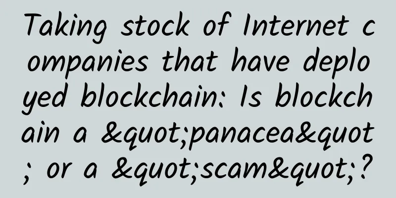 Taking stock of Internet companies that have deployed blockchain: Is blockchain a "panacea" or a "scam"?
