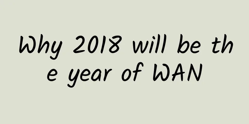 Why 2018 will be the year of WAN