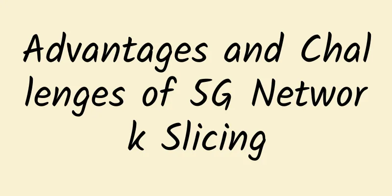 Advantages and Challenges of 5G Network Slicing