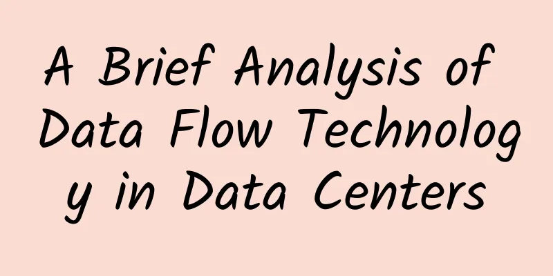 A Brief Analysis of Data Flow Technology in Data Centers