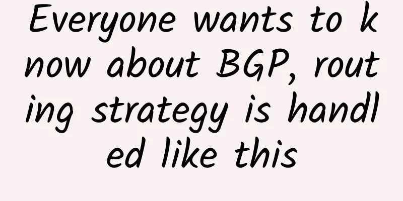 Everyone wants to know about BGP, routing strategy is handled like this