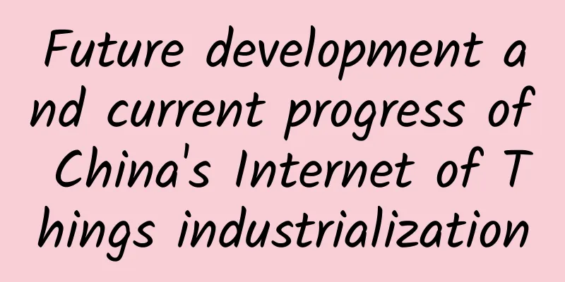 Future development and current progress of China's Internet of Things industrialization