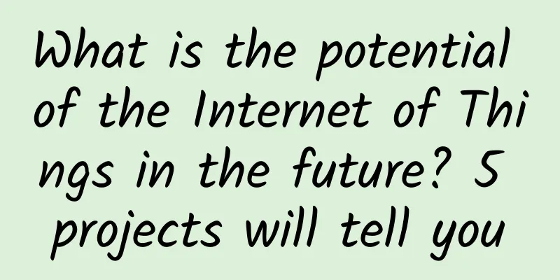 What is the potential of the Internet of Things in the future? 5 projects will tell you