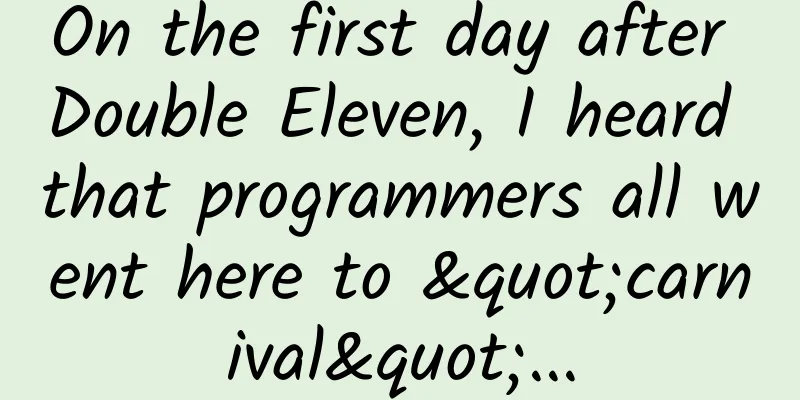 On the first day after Double Eleven, I heard that programmers all went here to "carnival"...