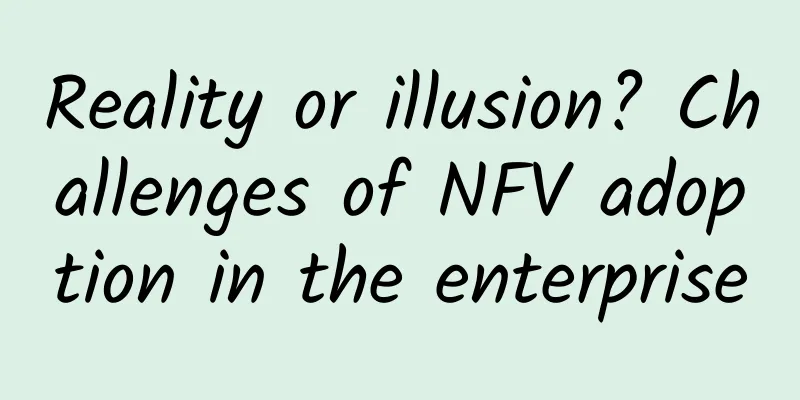 Reality or illusion? Challenges of NFV adoption in the enterprise