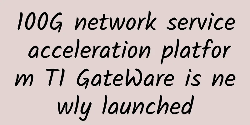100G network service acceleration platform T1 GateWare is newly launched