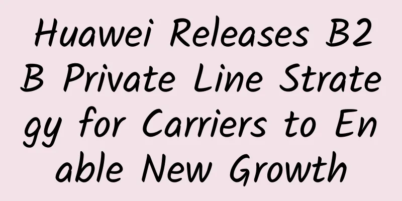 Huawei Releases B2B Private Line Strategy for Carriers to Enable New Growth