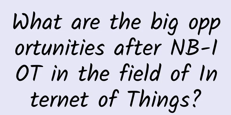 What are the big opportunities after NB-IOT in the field of Internet of Things?