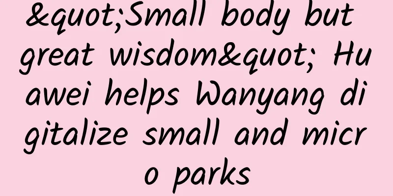 "Small body but great wisdom" Huawei helps Wanyang digitalize small and micro parks