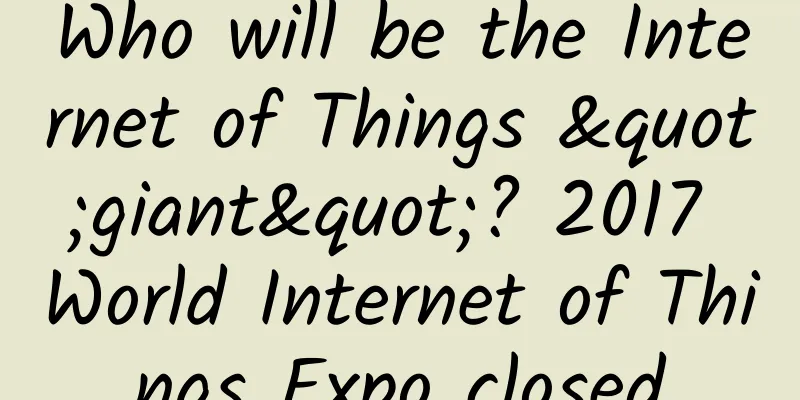 Who will be the Internet of Things "giant"? 2017 World Internet of Things Expo closed