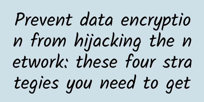 Prevent data encryption from hijacking the network: these four strategies you need to get