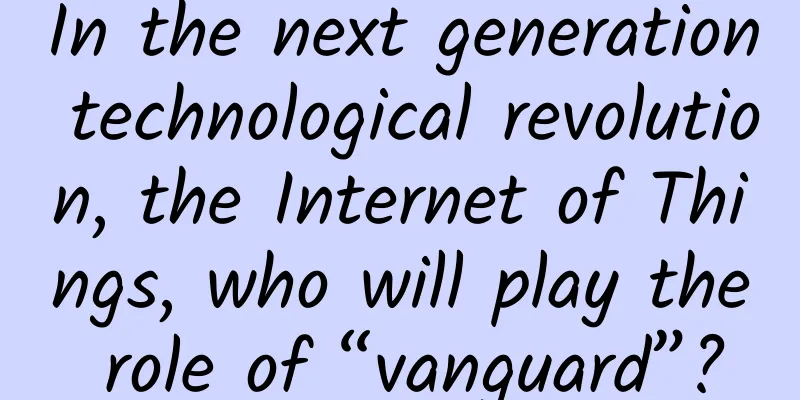 In the next generation technological revolution, the Internet of Things, who will play the role of “vanguard”?