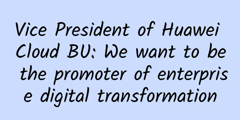 Vice President of Huawei Cloud BU: We want to be the promoter of enterprise digital transformation
