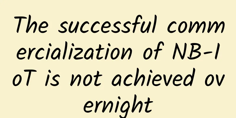 The successful commercialization of NB-IoT is not achieved overnight