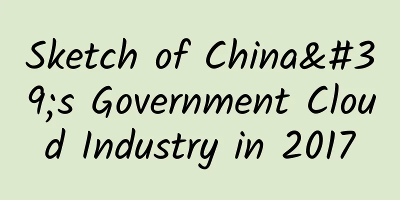 Sketch of China's Government Cloud Industry in 2017