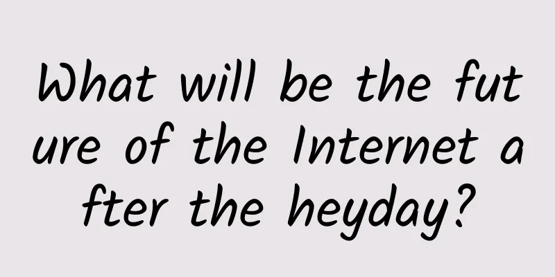 What will be the future of the Internet after the heyday?