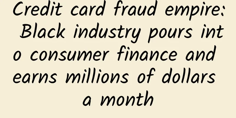 Credit card fraud empire: Black industry pours into consumer finance and earns millions of dollars a month