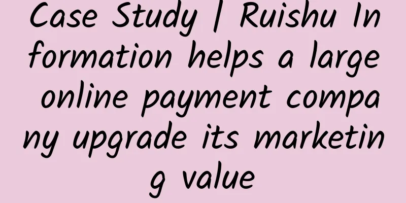 Case Study | Ruishu Information helps a large online payment company upgrade its marketing value