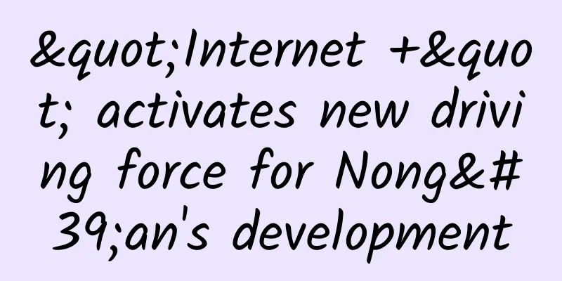 "Internet +" activates new driving force for Nong'an's development