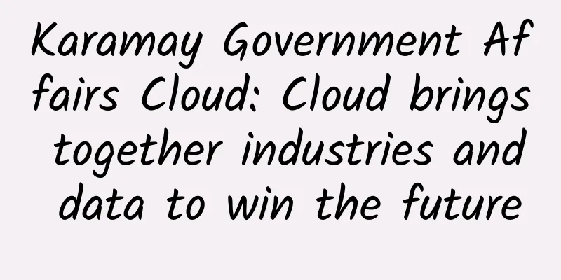 Karamay Government Affairs Cloud: Cloud brings together industries and data to win the future