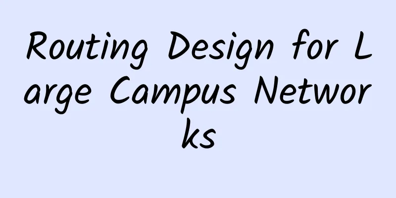 Routing Design for Large Campus Networks
